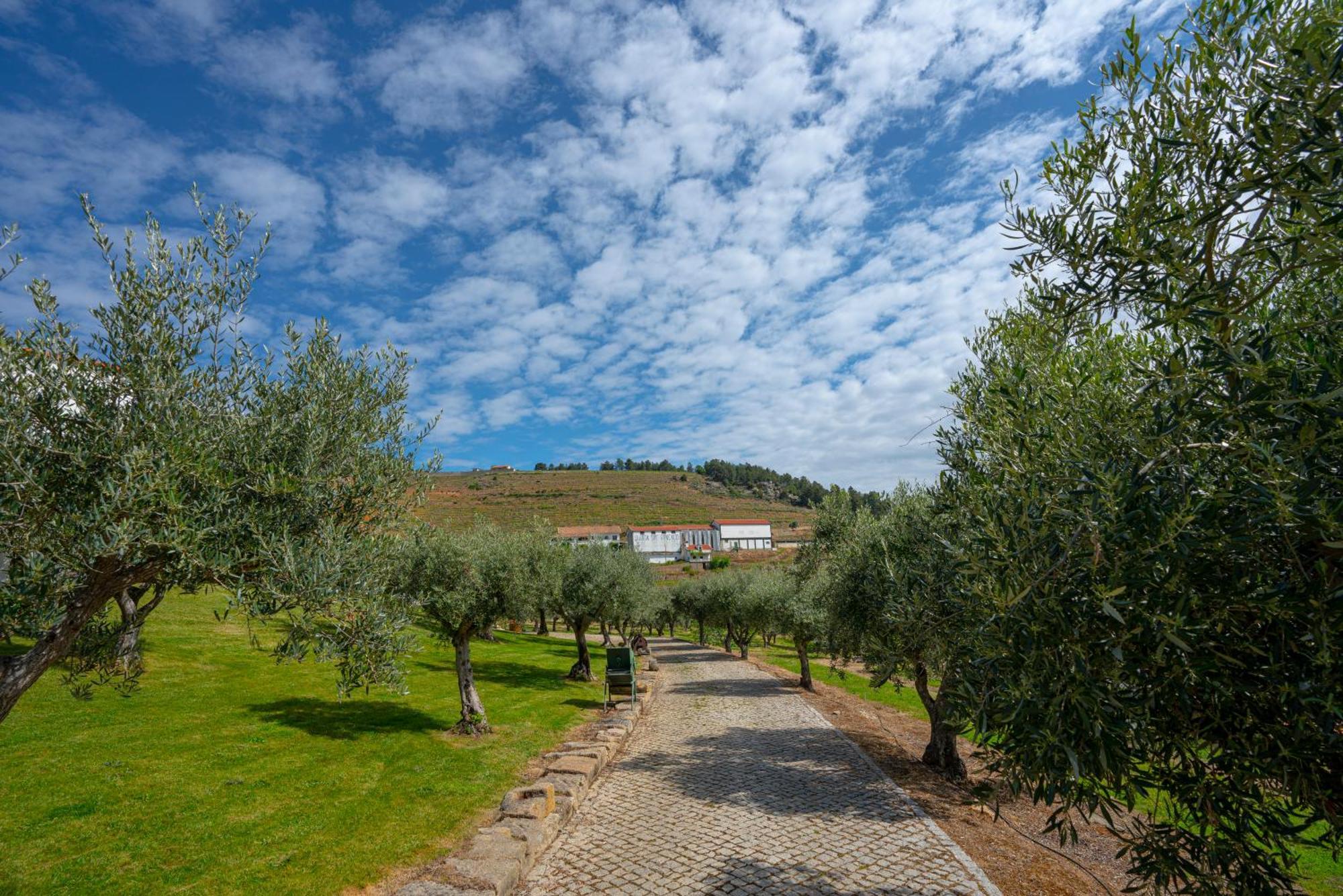 Valonquinta - Agro Hotel & Spa Vila Flor Luaran gambar